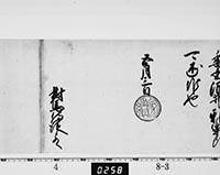 本紙
