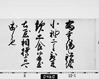 徳川綱吉御内書