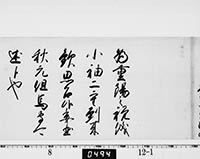 徳川綱吉御内書