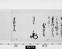 本紙