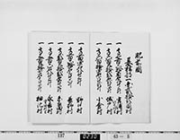 本紙