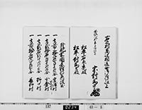 本紙