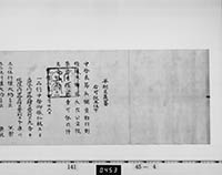 本紙