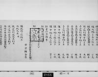 本紙