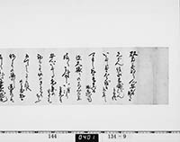 本紙