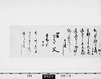 本紙