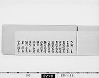本紙