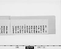 本紙
