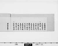 本紙