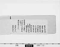 本紙
